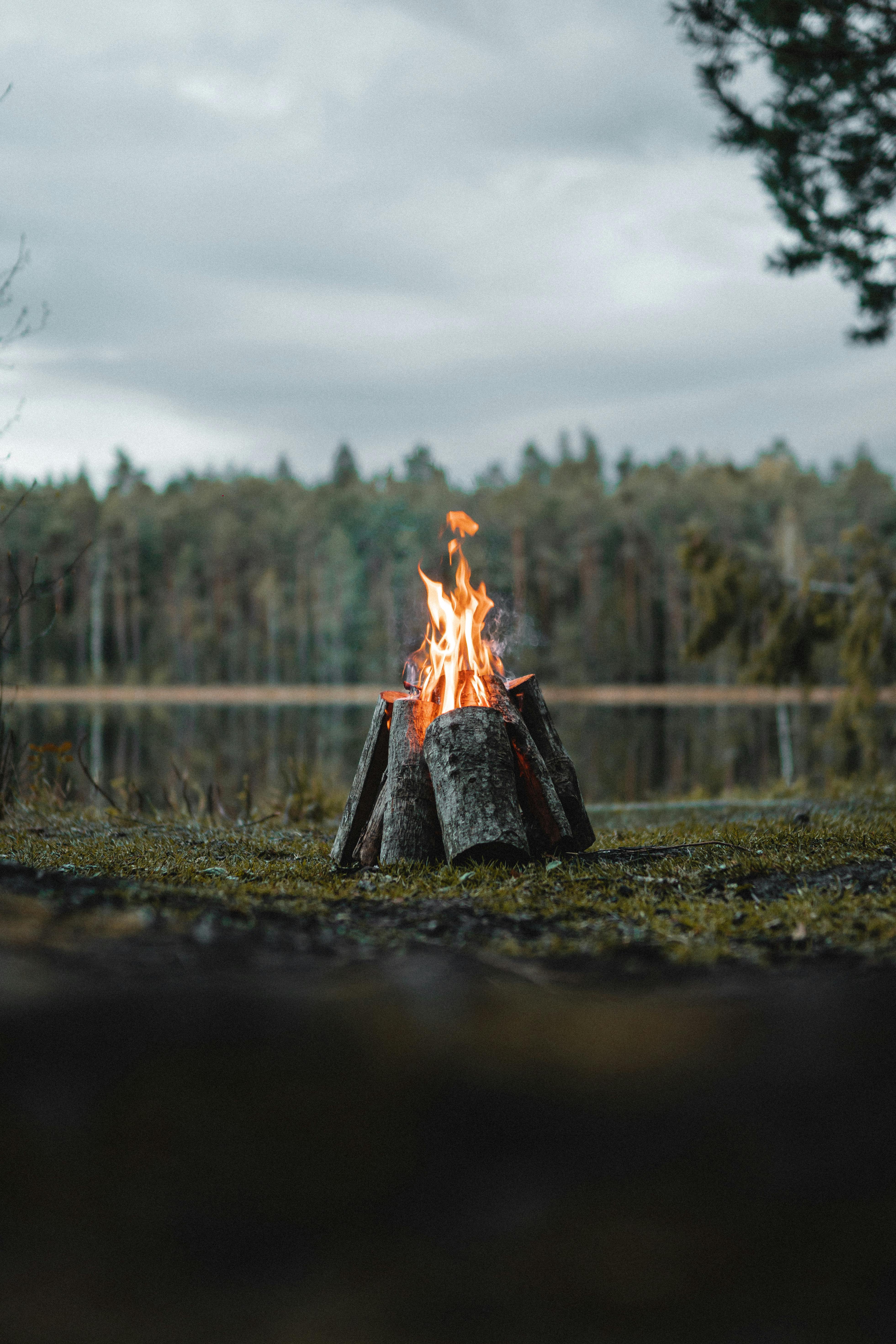 Campfire in the woods at the edge of a lake